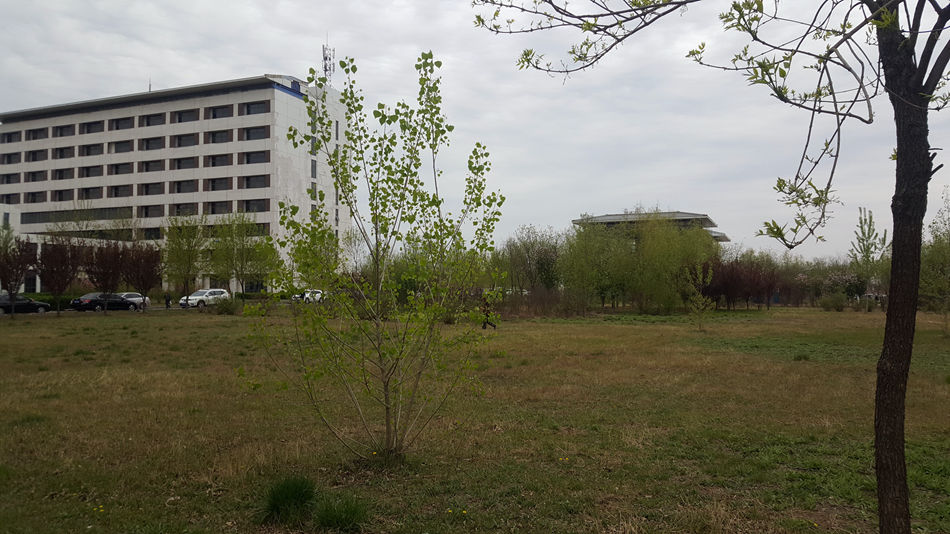 唐山市乐亭县大集,河北唐山乐亭大集