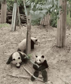 看到搞笑图片瞬间想起了什么,看到搞笑图片第一反应是什么