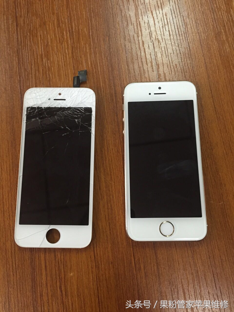 大连果粉管家,果粉管家清灰