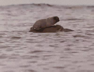 美国快递服务有多差,美国快递反映了美国人的什么