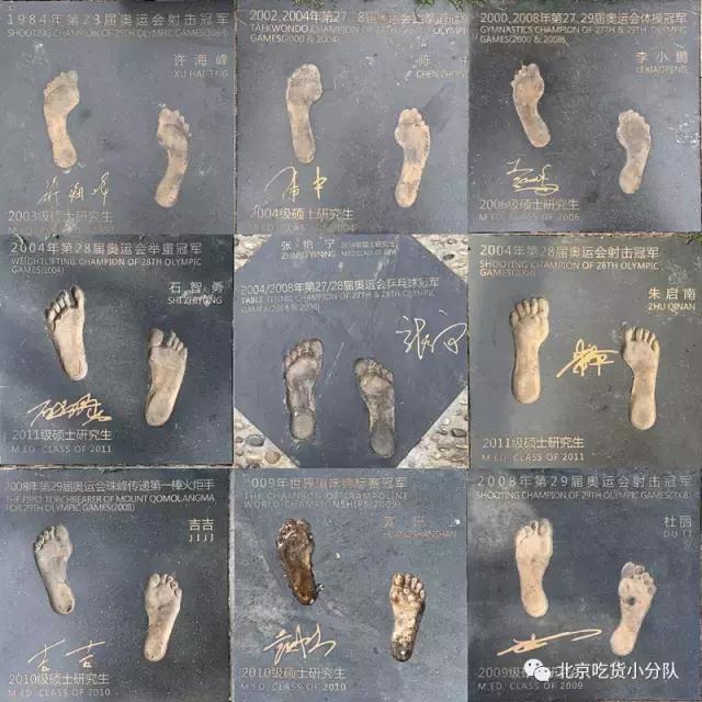 鍒汉瀹剁殑椋熷爞绯诲垪,鍖椾含浣撹偛澶у椋熷爞