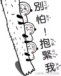 去荷兰旅游把护照丢了怎么回英国,荷兰旅游签证丢失怎么办