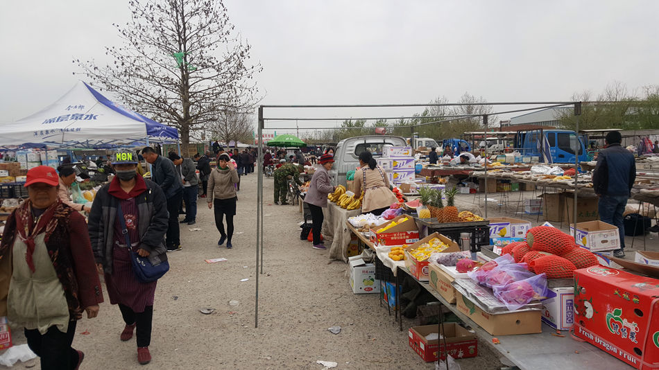 唐山市乐亭县大集,河北唐山乐亭大集