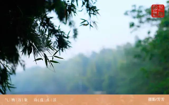 倾听谷雨朗读视频,倾听谷雨古诗朗诵