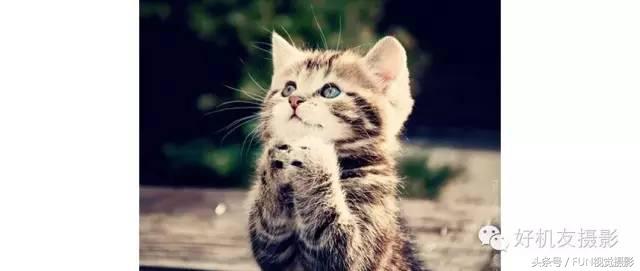 湖边拍很有感觉的照片,拍照很有感觉的照片