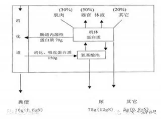 别再交智商税暗含何意,别再交智商税了