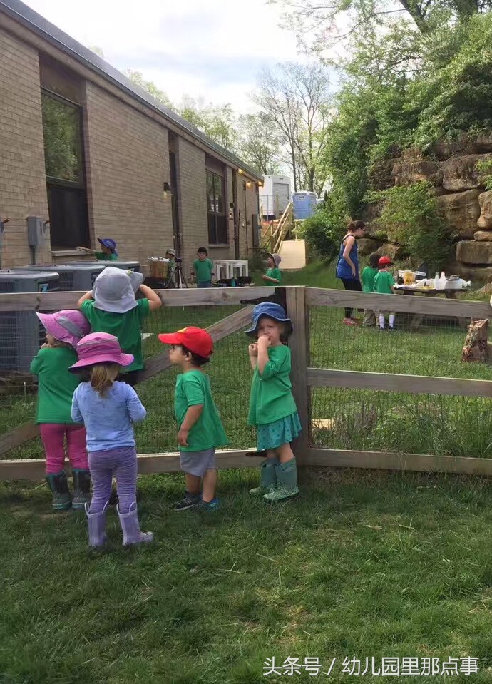 国外有名的自然生态幼儿园,国外的森林幼儿园