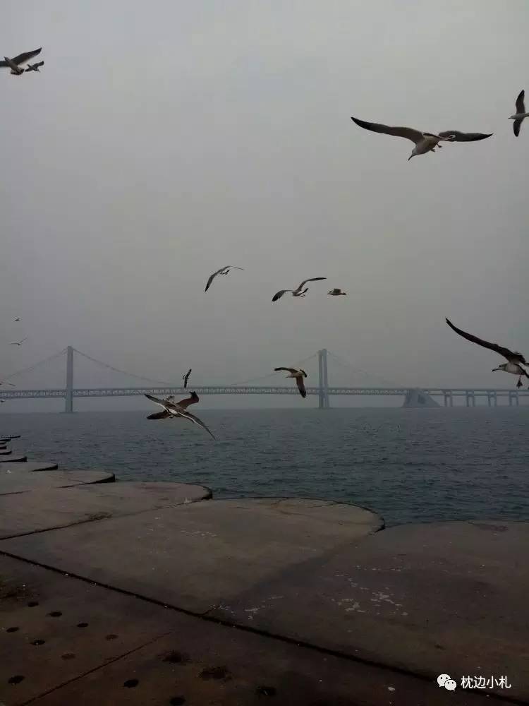 冬天大连看海旅游攻略,冬季到大连去看海