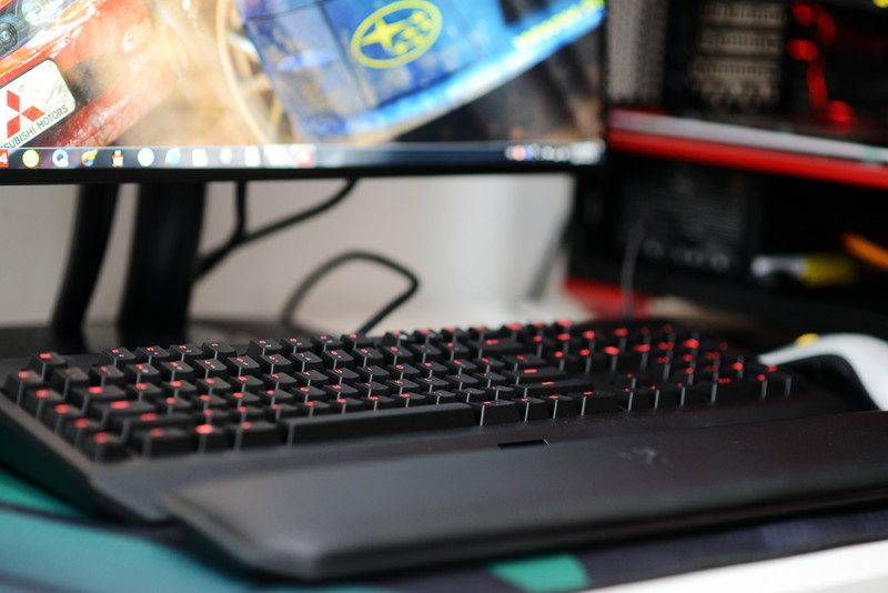 雷蛇键盘黑寡妇2014终极版多少钱,雷蛇黑寡妇键盘跟狼蛛f87pro