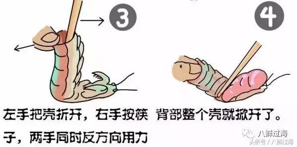 比手臂还粗的皮皮虾你吃过了吗,比手臂还要大的皮皮虾你吃过没有