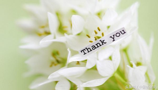 企业自媒体账号运营案例,新品上新自媒体运营方案