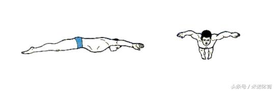 海豚跳跃式泳姿教学,海豚式泳姿陆上练习