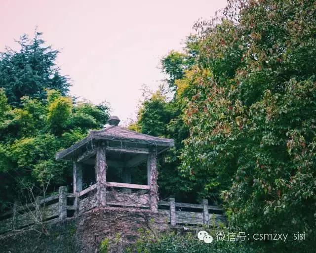 长沙民政职业学院哪个专业最好,长沙民政学院2022录取名单