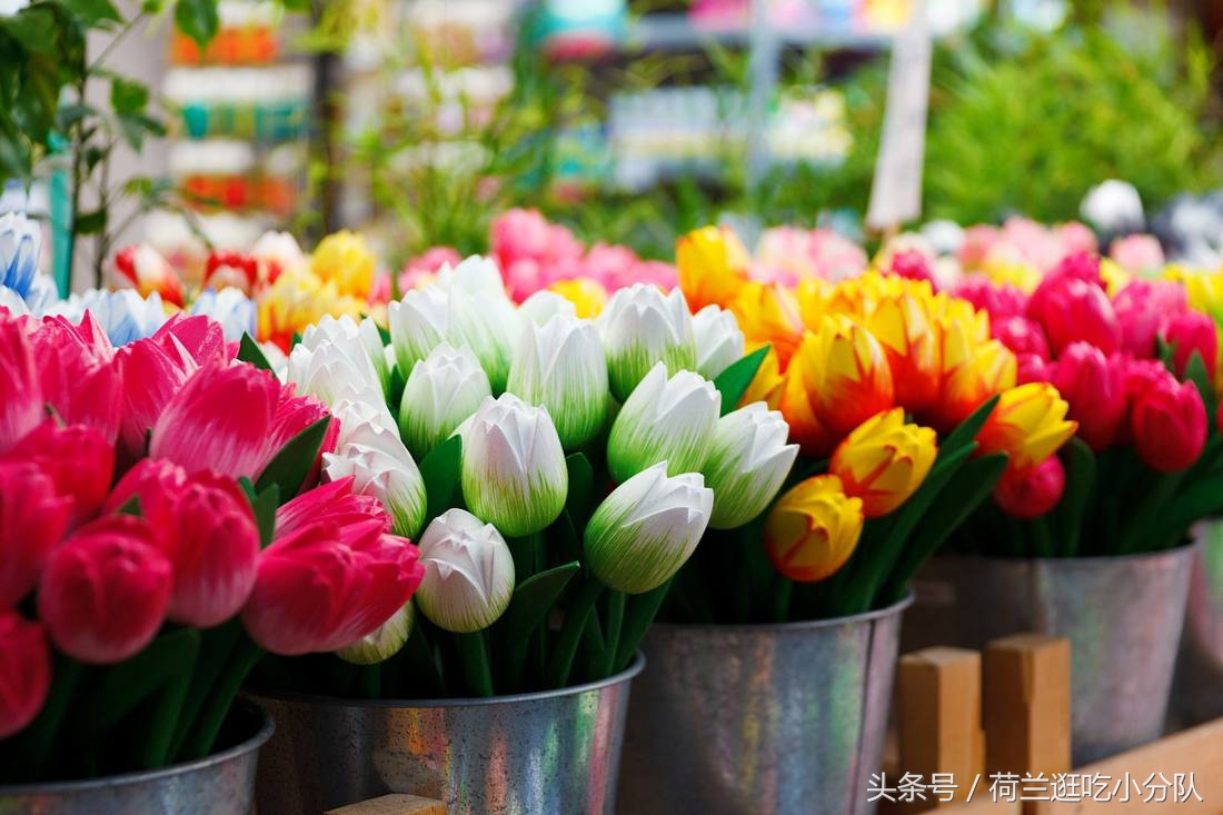 旅行必看｜它是全球唯一的水上鲜花市场，买花逛吃两不误！