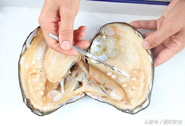 珍珠的保养方法和护理,珍珠护理小窍门