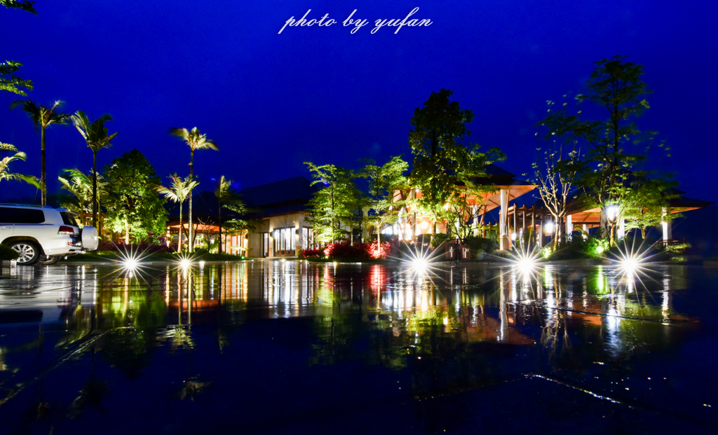 云端上的世外桃源，看看浇灌牛奶和土鸡蛋的有机乌龙茶长成啥样