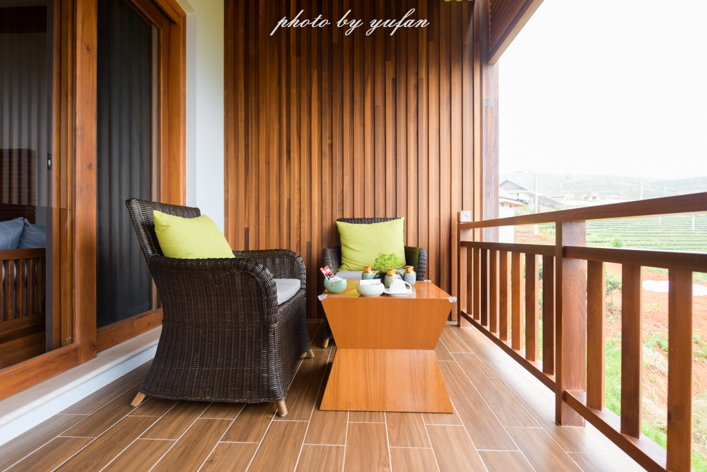 云端上的世外桃源，看看浇灌牛奶和土鸡蛋的有机乌龙茶长成啥样