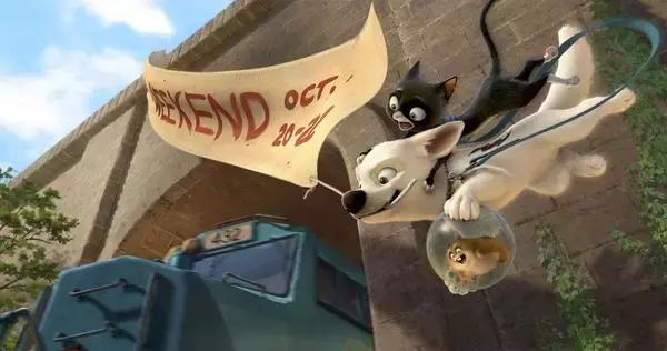 带你家狗狗一起看的电影,带宠物一起去看电影吧