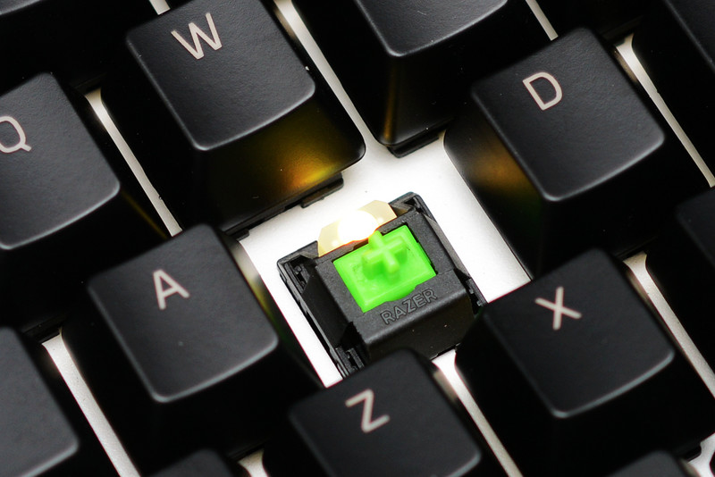 黑寡妇蜘蛛2019和幻彩版,黑寡妇蜘蛛幻彩版测评