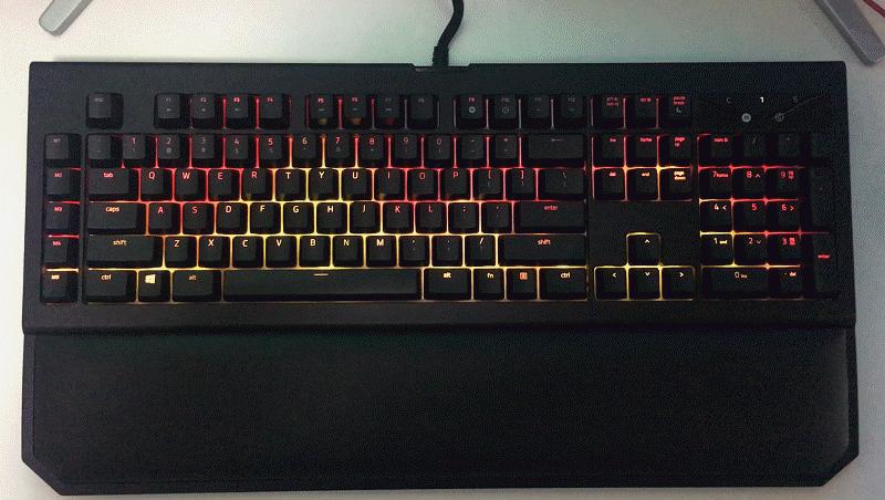 黑寡妇蜘蛛2019和幻彩版,黑寡妇蜘蛛幻彩版测评