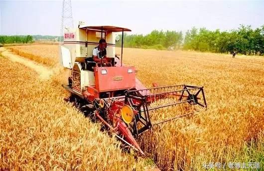 梁平2017放暑假时间锁定~我们曾有的每学期8天农忙假那去了