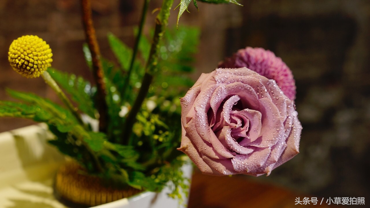 中山三乡镇美溪村,中山景点三溪村