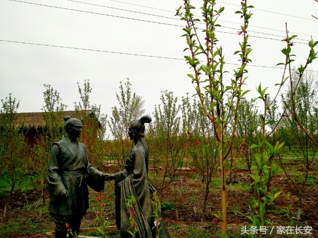 西安桃花花海旅游节,西安长安桃花园景区