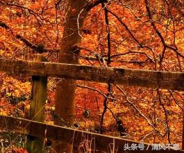 qq签名仙气励志,女生励志签名短句