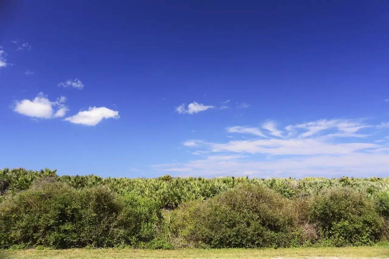佛罗里达海滩游玩攻略,来迈阿密旅游