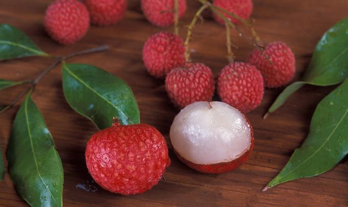 得了胃炎怎么才能止疼,刚刚发现胃炎吃什么