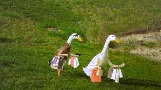 你以为捡到的便宜是真的吗,机场免税店会便宜吗