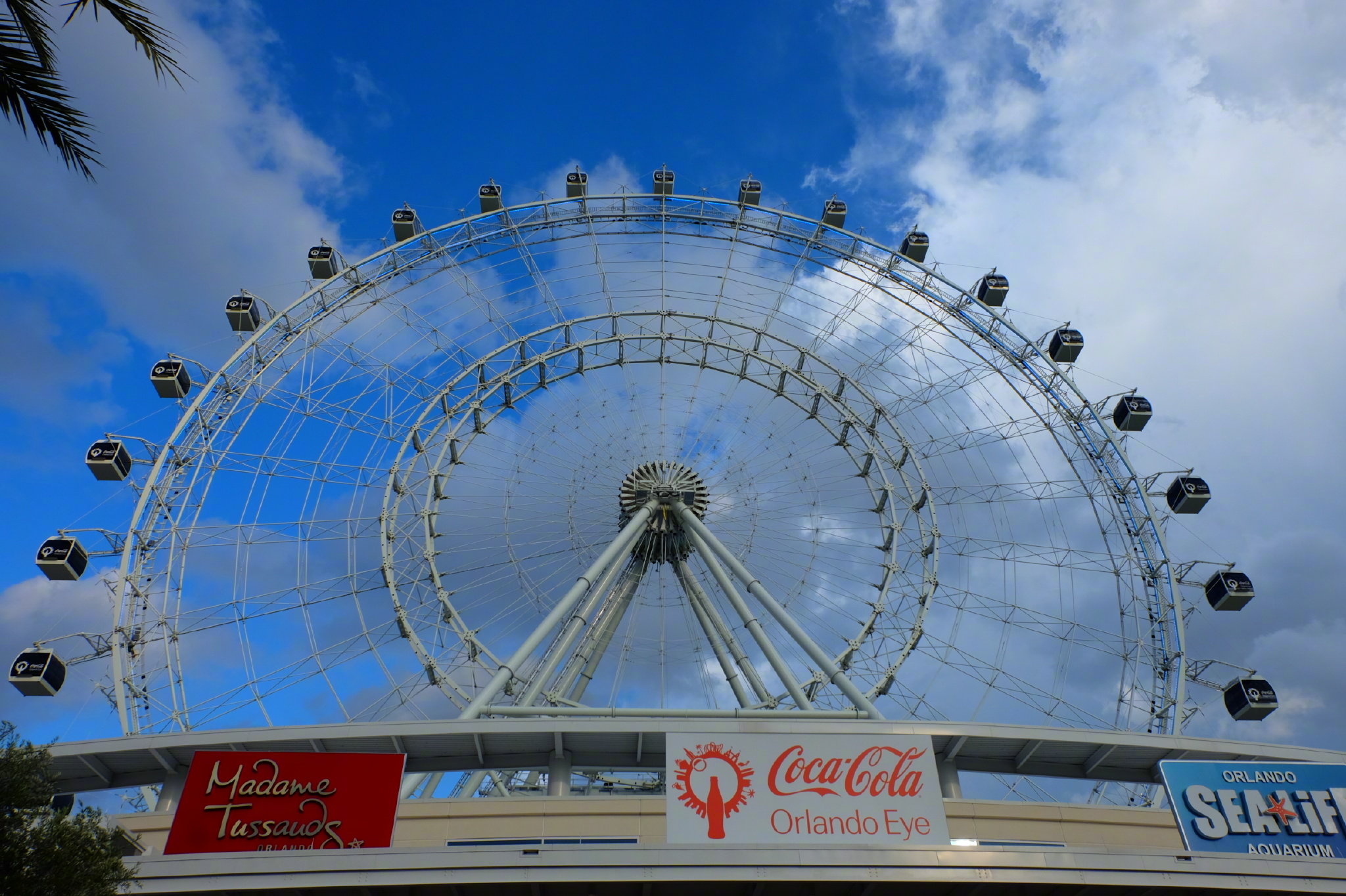 佛罗里达七日游攻略,佛罗里达5天旅游