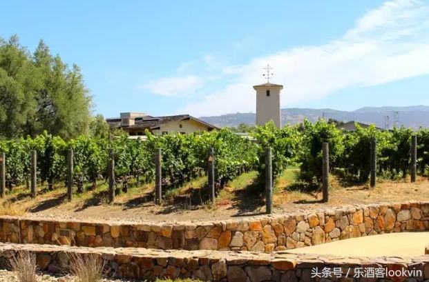 葡萄酒大师品鉴红酒,葡萄酒大师酿酒视频