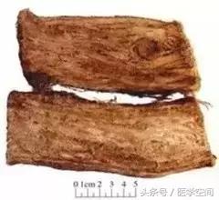 每天一味中药陈皮,每天一味中药图解