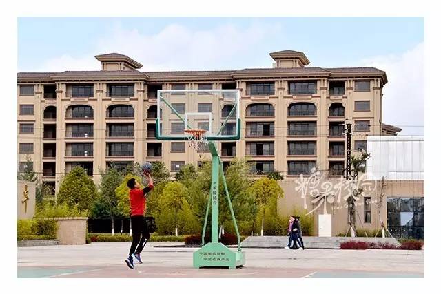 校园资讯开头,校园资讯栏目