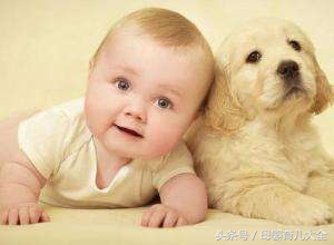 猴人几月几日出生的运势好,66年出生的马几月运势好