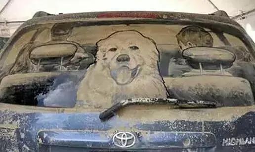 车脏了小妙招,平时车脏了怎么处理