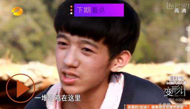 变形计陈新颖和丽姐全集,变形记陈新颖完整版