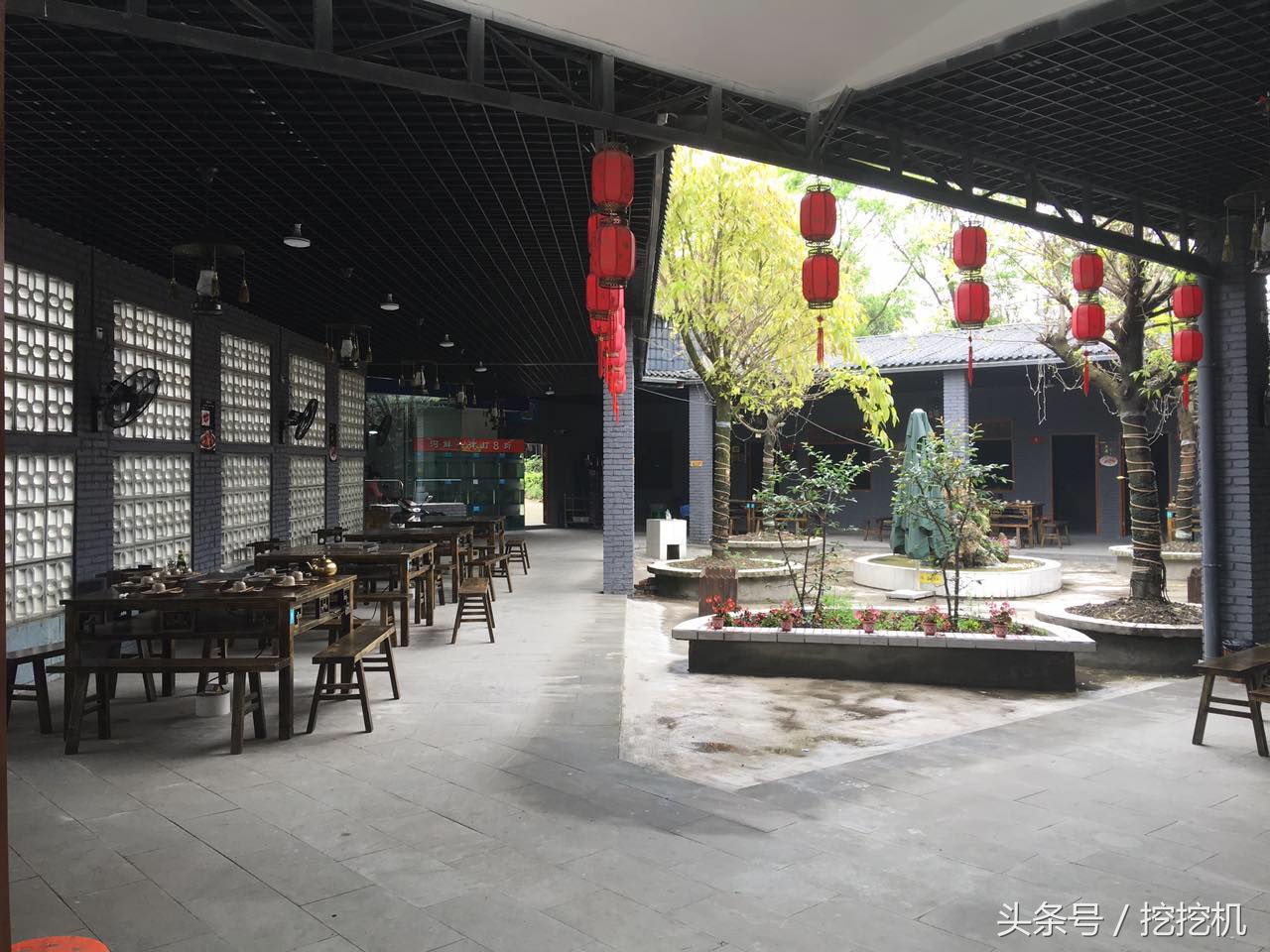 蓉城美食牛蛙,蓉城美食湘菜