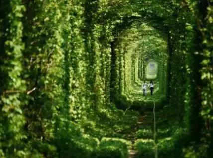 口腔医院渠道运营体系,口腔医院线上经营模式