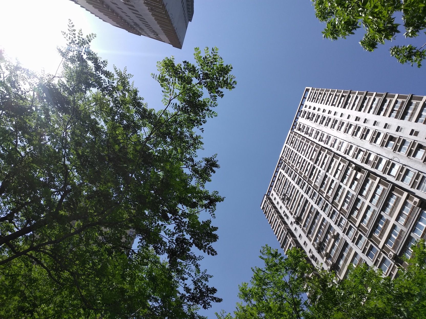 金立m6splus与金立m6plus的区别,金立m6splus指纹失灵