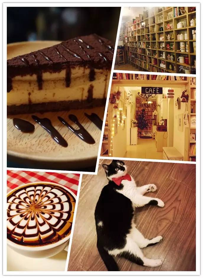 抓住下午的休闲时光,把握休闲娱乐时光