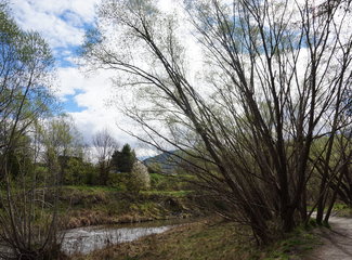 新西兰全景巴士,那些自驾游来不及知道的事儿(北岛+南岛超多公共交通实用信息各类购票详细教程InterCity)