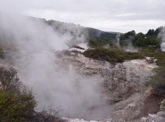 致敬·新西兰OnceisforAll