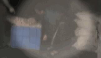 贵阳脆哨软哨,贵州贵阳正宗猪油