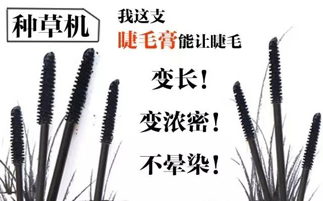 种草机｜我有一支睫毛膏，它是我的睫毛“放大器”！