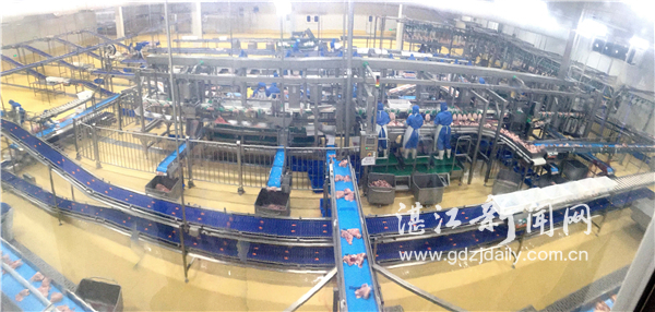 正大食品新品推介,正大食品质量怎么样