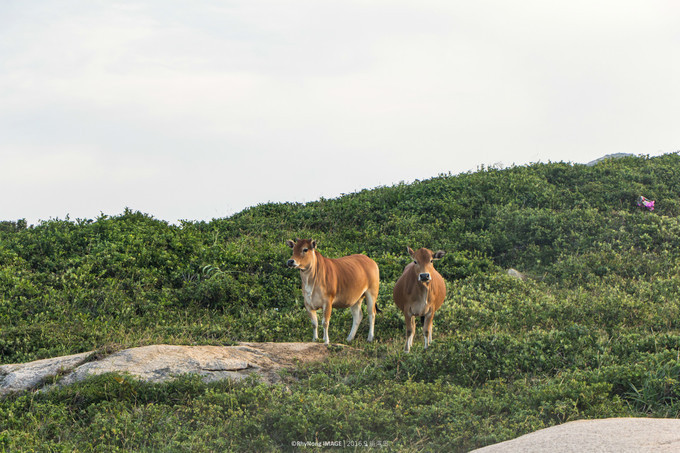 夏日沙滩玩水letsgo,letsgo夏日旅行