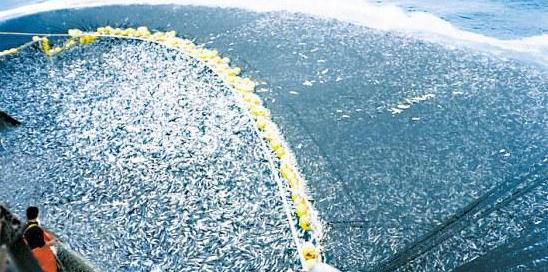 蔚为壮观用了什么结构,蔚为壮观代表什么