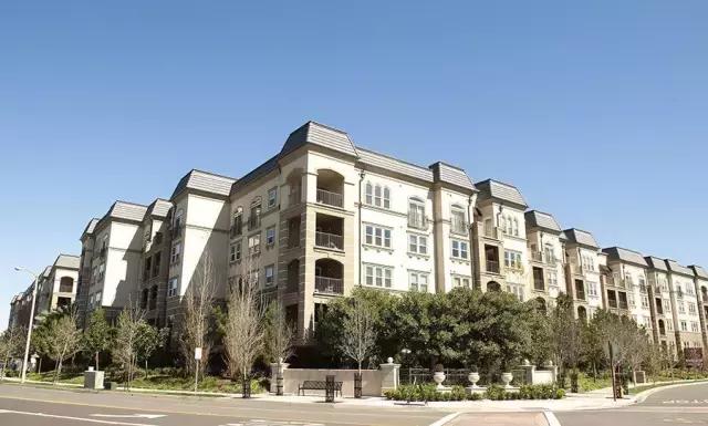 中国人赴美生子:我不占用美国福利,这句话一定要抢先说出口